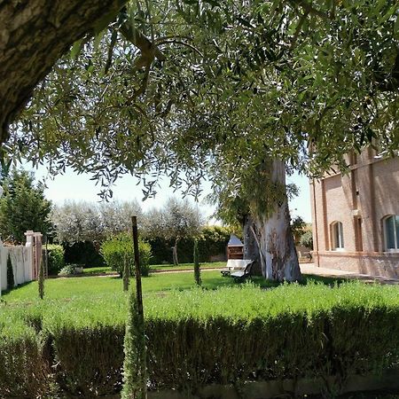 Flos Guest House Lucera Buitenkant foto